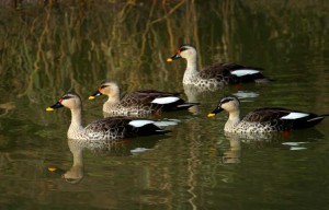 Relationships Tips To Help You Succeed